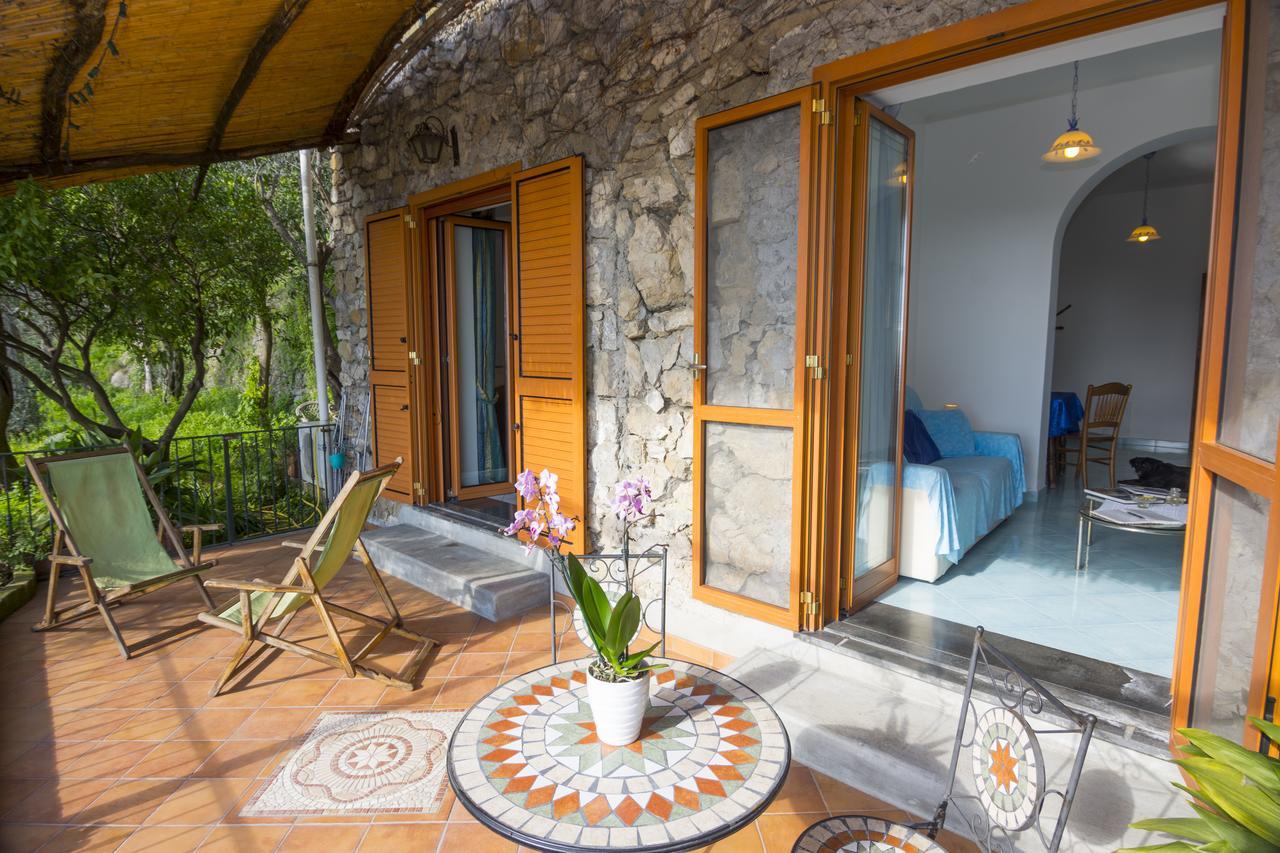 Le Nereidi B&B Positano Exterior photo